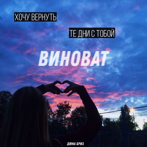 Виноват