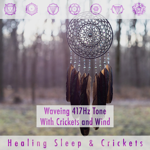 Recreating Human Slow Wave 417hz