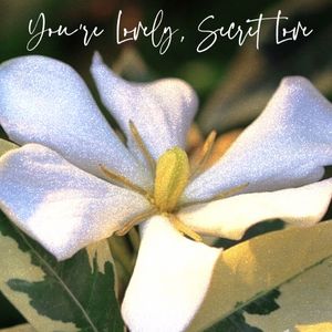 栀子花（Prod by tired）