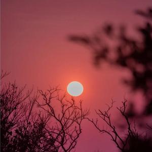 错过了日落会有黎明 混2