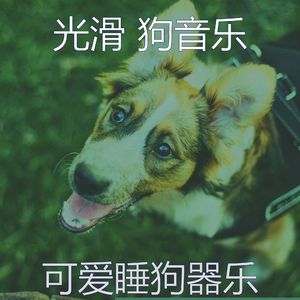 温和可爱的狗梦想