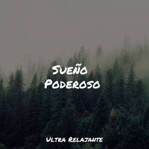 Recuerdos Acuñados