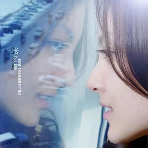 玻璃罩下的旋转木马