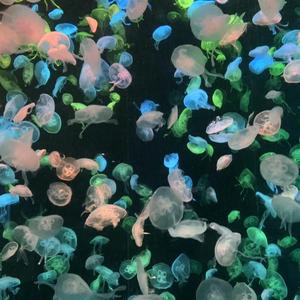 Don’t Play With Me