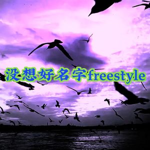 没想好名字2.0Freestyle