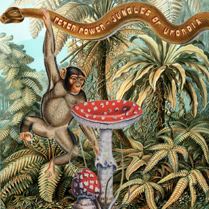 Jungle Voodoo (Original Mix)