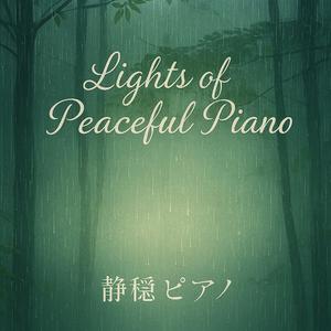 光のカーテンをくぐって