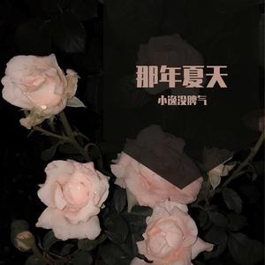 侧脸（dj咚鼓）