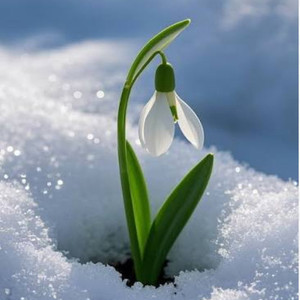 Боль пройдет