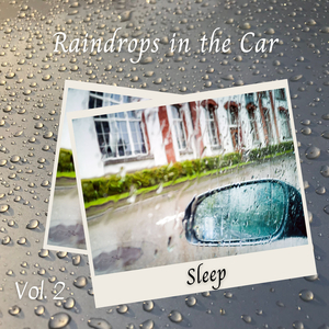 Droning Birds Over the River