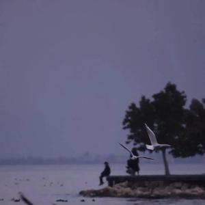 气象站台（翻自 Uu）