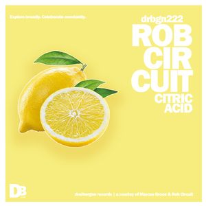 Lemonade (Fresh Diary Edit)