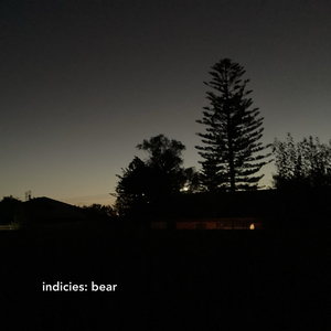 Bear