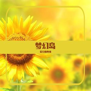 Memories-海贼王（翻自 大槻マキ）