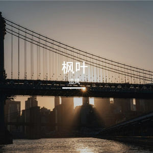 枫叶-整曲