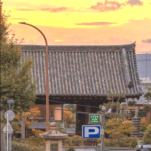 烟火-整曲 伴奏