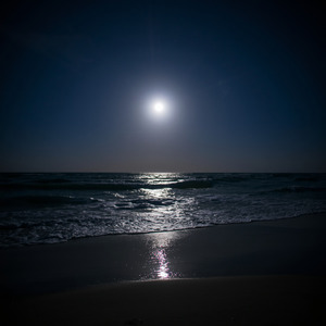 Fate