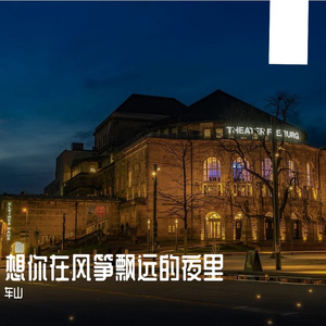 想你在风筝飘远的夜里