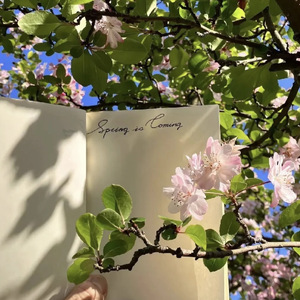 想你和我们的以后