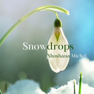 Snowdrops