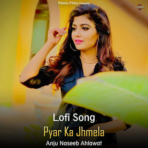 Pyar Ka Jhmela (Lofi Remix)