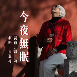今夜无眠 伴奏
