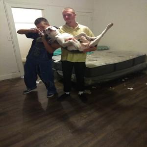 BillyEyelash (feat. Crustin Beiber)