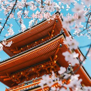 我多么幸福，我生在中国