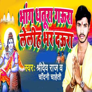 Bhang Dhatura Gaura Leliha Bhar Daura (feat. Chadani Chaheti)