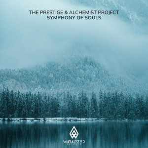 Symphony of Souls (Extended Mix)