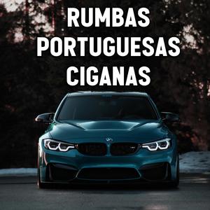 RUMBA PORTUGUESA 2025 TOI SAPATO BICUDO