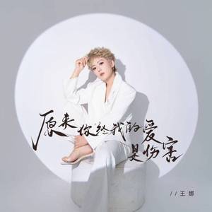 原来你给我的爱是伤害