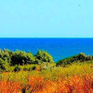 BN Gymnastic Song Floor Music