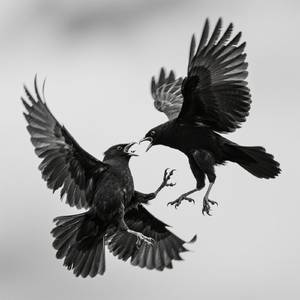 Janganlah Kau Menghilang