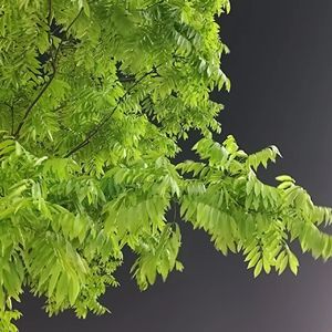 初夏晚恋（Prod by Gr33nart Beats）