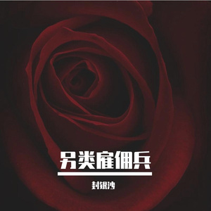 另类雇佣兵 (伴奏)