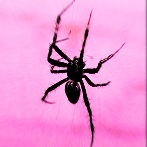 Love Ain't Enough (She's Just a Tide)