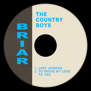 To Prove My Love To You