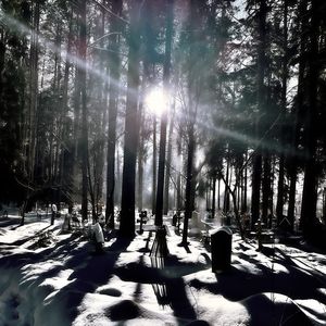 Здесь вообще нет смысла