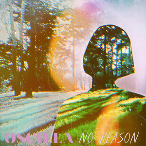 No Reason