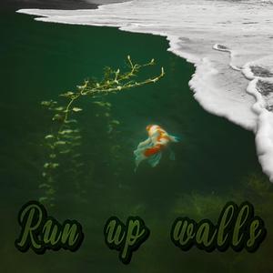 Run up Walls