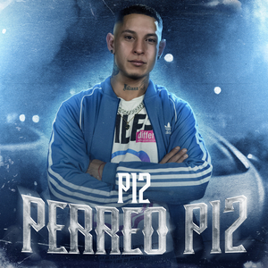 Perreo P12