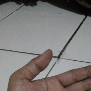 Bisma