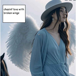 chasinf love with broken wings