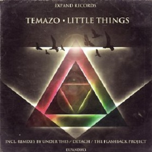 Little Things (Detach Remix)
