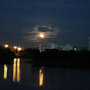 自我缝合的第一步（prod.by.李暗）