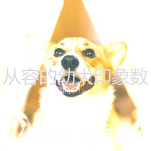 微妙的幼犬心情