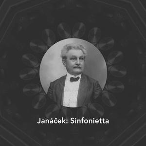 Sinfonietta: V. Andante con moto