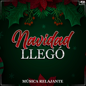 Avecillas Navideñas