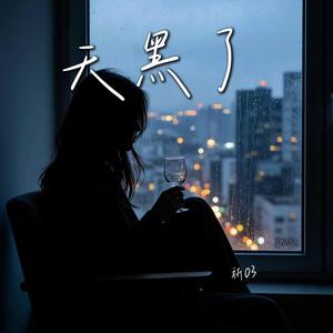 天黑了 （R&B）-Night Falls